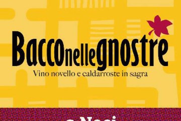 Bacco nelle Gnostre - 7-8 novembre 2015-2