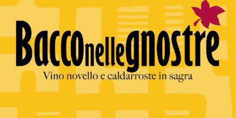 Bacco nelle Gnostre - 7-8 novembre 2015-2