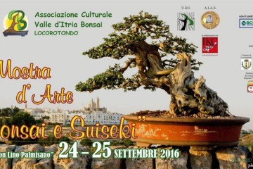 mostra bonsai 2016 locandina