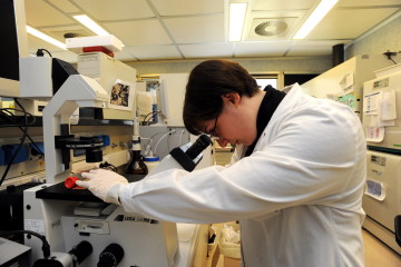 NERVIANO CENTRAL SCIENCES ISTITUTO DI RICERCA FARMACEUTICA NELLA FOTO UN RICERCATORE IN CAMICE BIANCO EFFETTUA CONTROLLI AL MICROSCOPIO (Gianluca Albertari, MILANO - 2009-03-26) p.s. la foto e' utilizzabile nel rispetto del contesto in cui e' stata scattata, e senza intento diffamatorio del decoro delle persone rappresentate